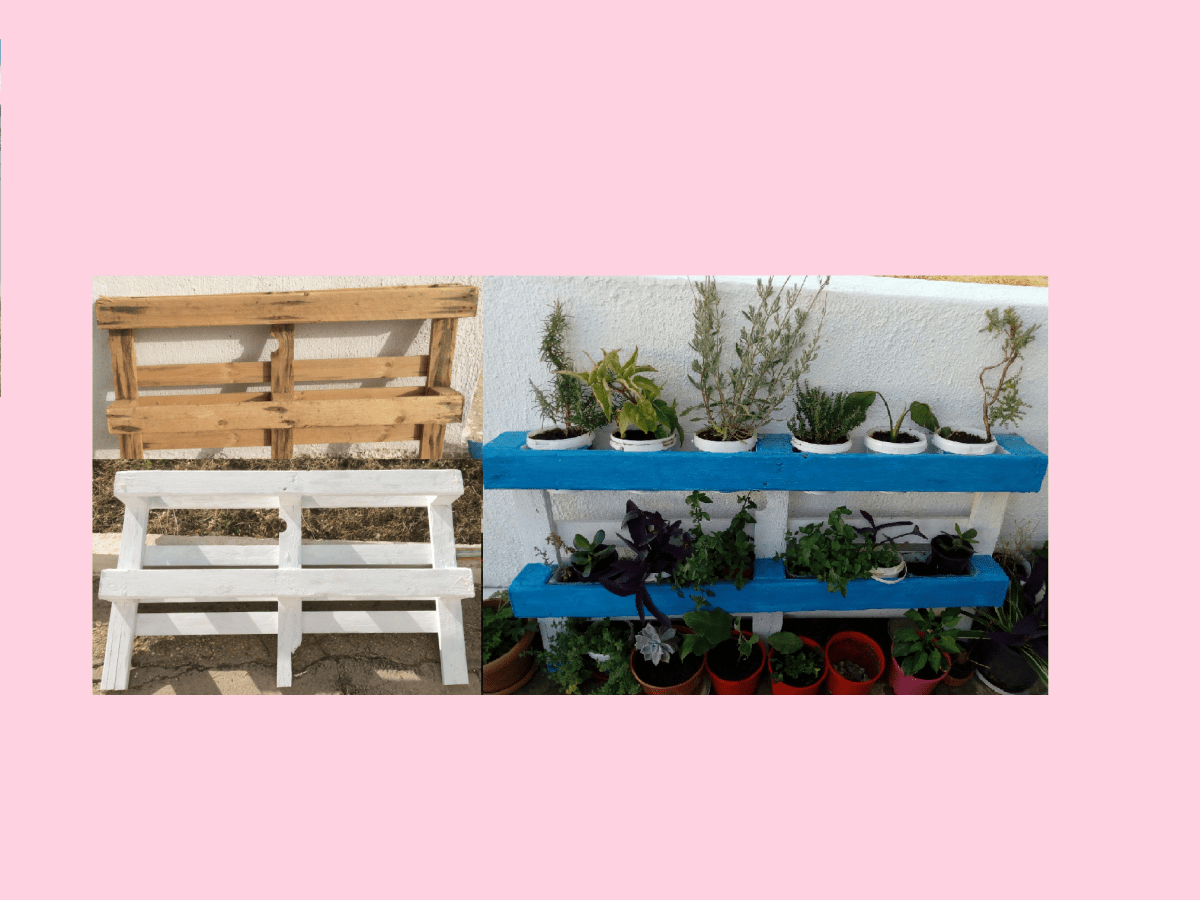 Project: Palette transformation into herbs host