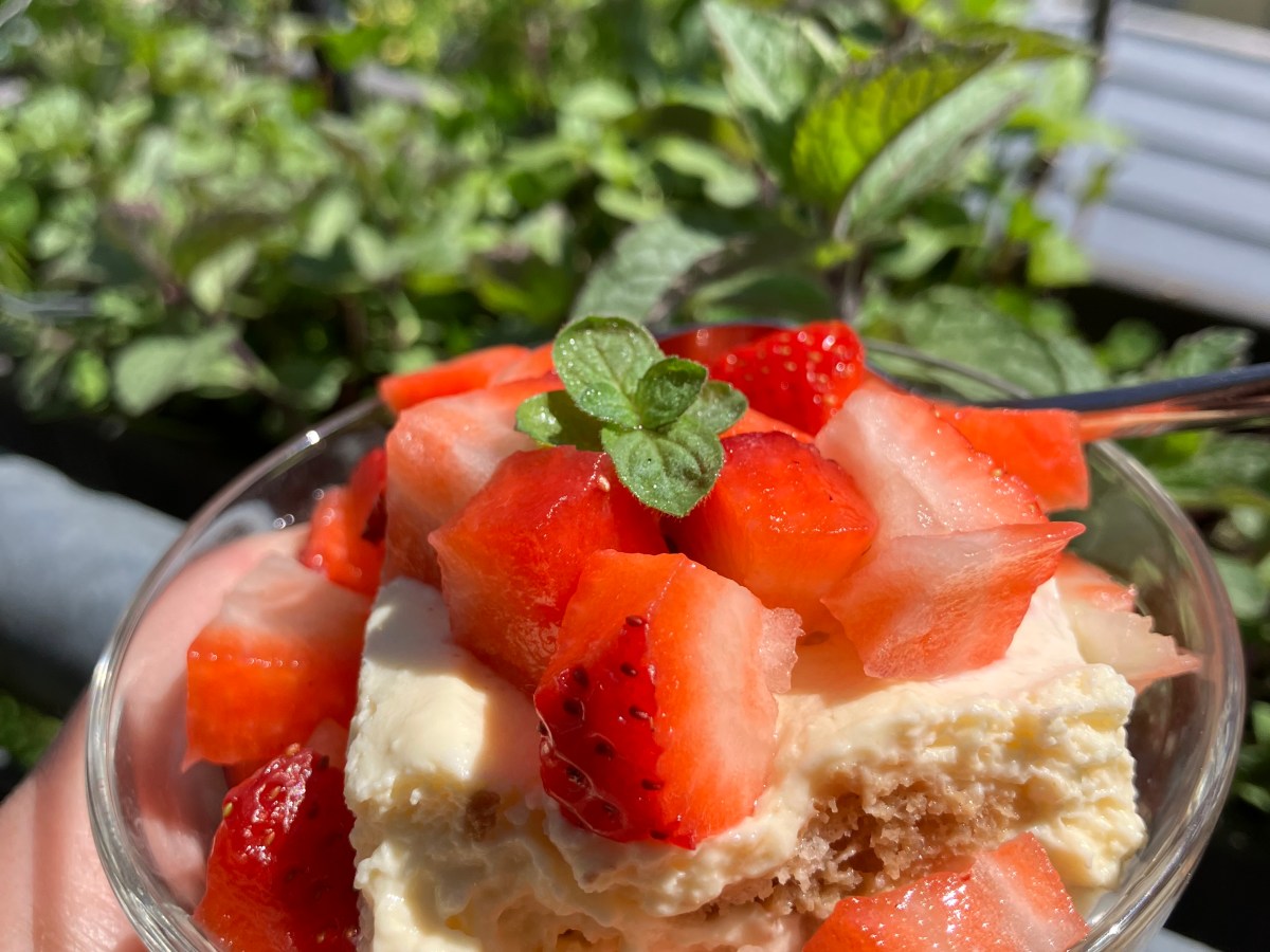 idea – serve your tiramisu with strawberries and mint